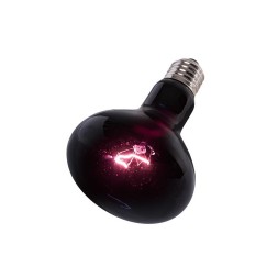 Ночная лампа с подогревом Repti-Zoo Moonlight Heat 50W для рептилий и амфибий без UVA (D63050)