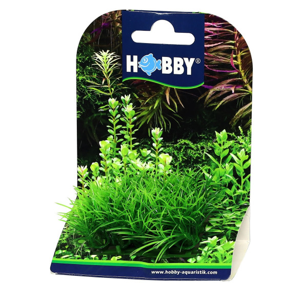 Искусственное растение Hobby Plant Pad 2 7x4,5x4,5см (51552)