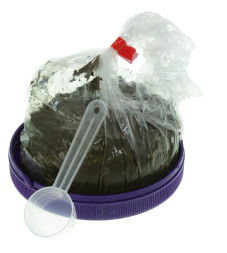 Cубстрат для збільшення мікробіології Aquaforest AF Life Source 250мл/330г (733328)