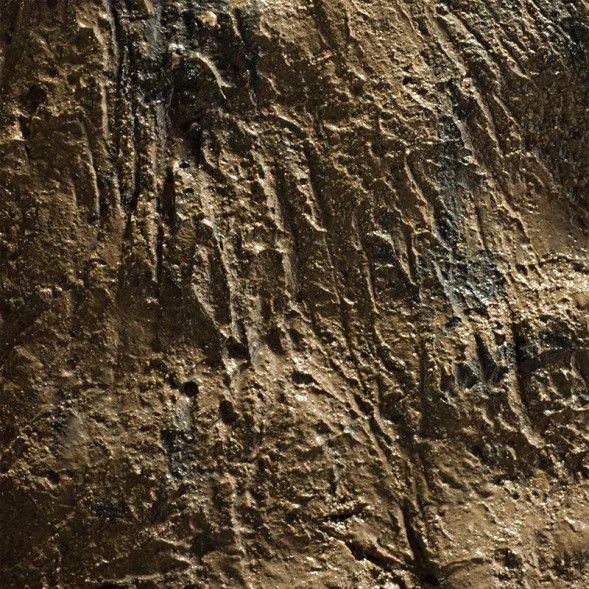 Cубстрат для збільшення мікробіології Aquaforest AF Life Source 250мл/330г (733328)