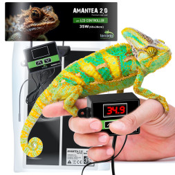 Нагревательный мат с термостатом Terrario Amantea 2.0 35W 65x28см