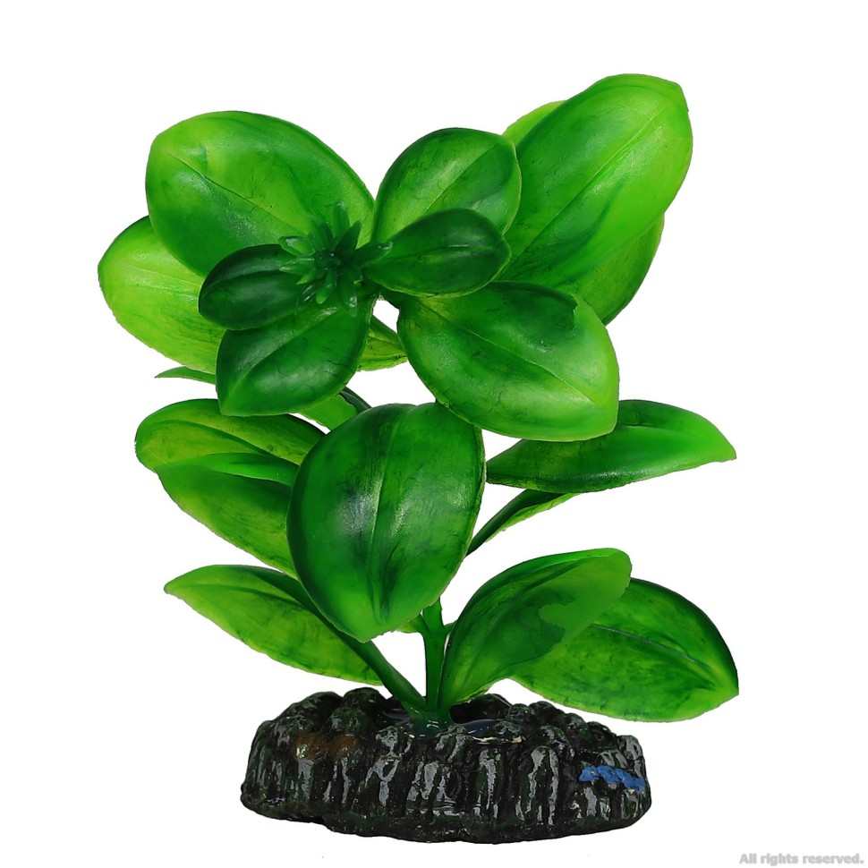 Hobby Saururus – Pianta Acquario Artificiale Su Roccia – Effetto Trompe L'oeil – Altezza 16 Cm