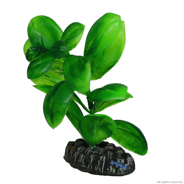 Искусственное растение Hobby Saururus 7см (51562)