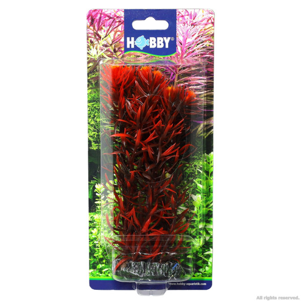 Искусственное растение Hobby Eusteralis 20см (51582)