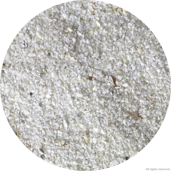 Живий пісок для морського акваріуму Aquaforest AF Bio Sand 7,5кг  0.5-1.5мм (738859)