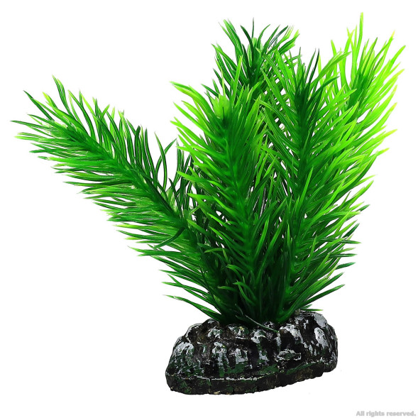 Искусственное растение Hobby Mayaca 7см (51584)