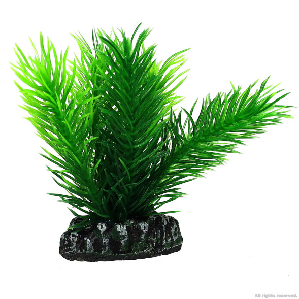 Искусственное растение Hobby Mayaca 7см (51584)