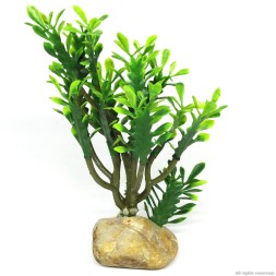 Искусственное растение кактус Hobby Euphorbia M 15x7x17см (36999)