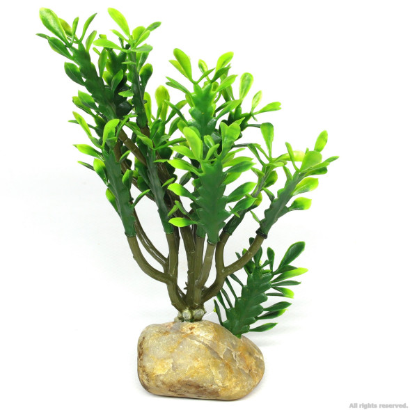Искусственное растение кактус Hobby Euphorbia M 15x7x17см (36999)