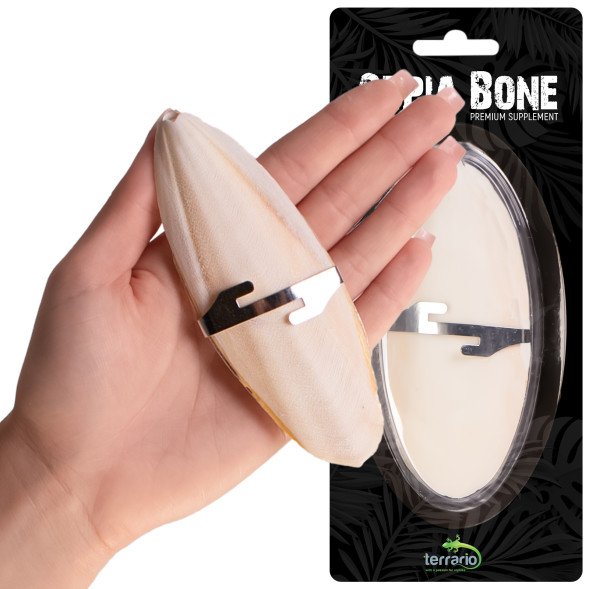 Сепія для черепах, природний вапняк для рептилій Terrario Sepia Bone 10-15см