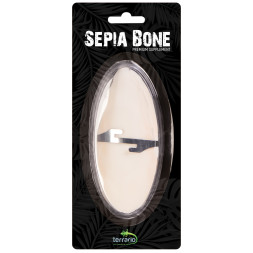Сепия для черепах, природный известняк для рептилий Terrario Sepia Bone 10-15см