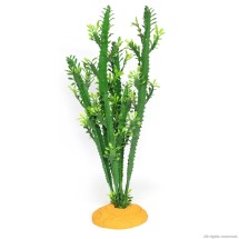 Искусственное растение кактус Hobby Euphorbia L 25x10x49см (37000)