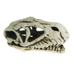 Грот керамічний Aqua Nova череп динозавра 14x7x7см (N-28065)