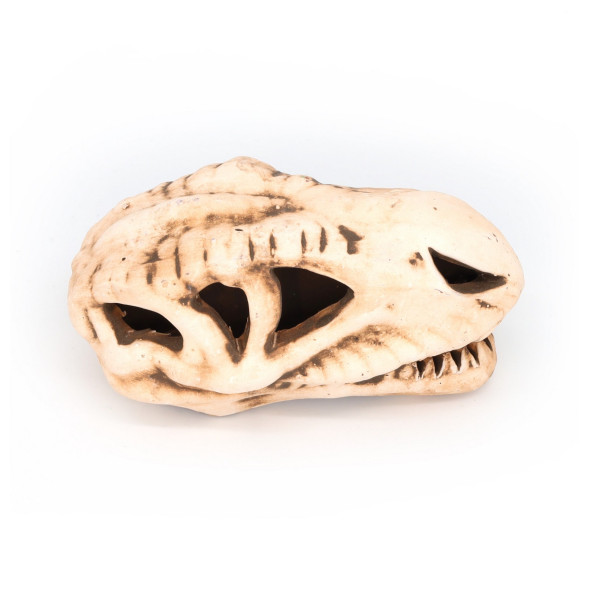 Грот керамічний Aqua Nova череп динозавра 14x7x7см (N-28065)