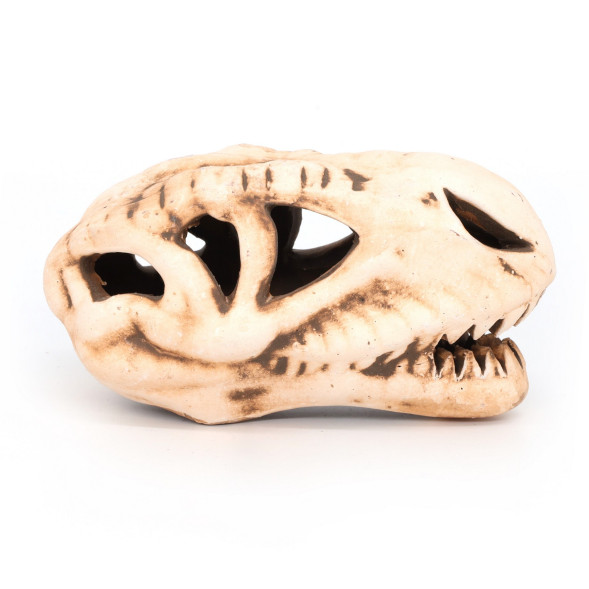 Грот керамічний Aqua Nova череп динозавра 14x7x7см (N-28065)