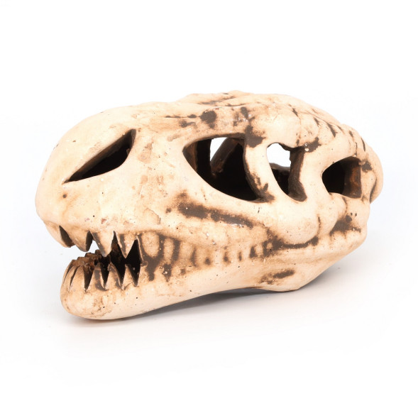 Грот керамічний Aqua Nova череп динозавра 14x7x7см (N-28065)