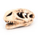 Грот керамічний Aqua Nova череп динозавра 14x7x7см (N-28065)