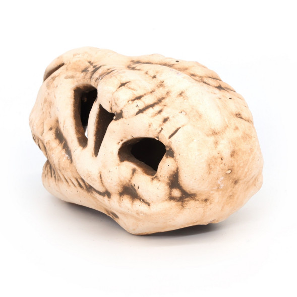 Грот керамічний Aqua Nova череп динозавра 14x7x7см (N-28065)