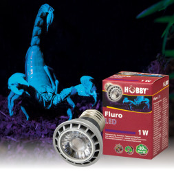 Ультрафіолетова лампа LED для тераріумів Hobby Fluro LED 1 W (37600)