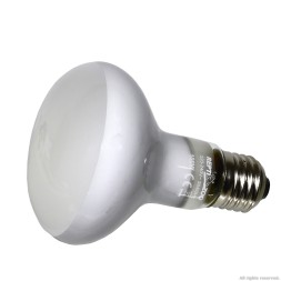 Лампа точечного нагрева Repti-Zoo Beam Spot 100W (BS80100)