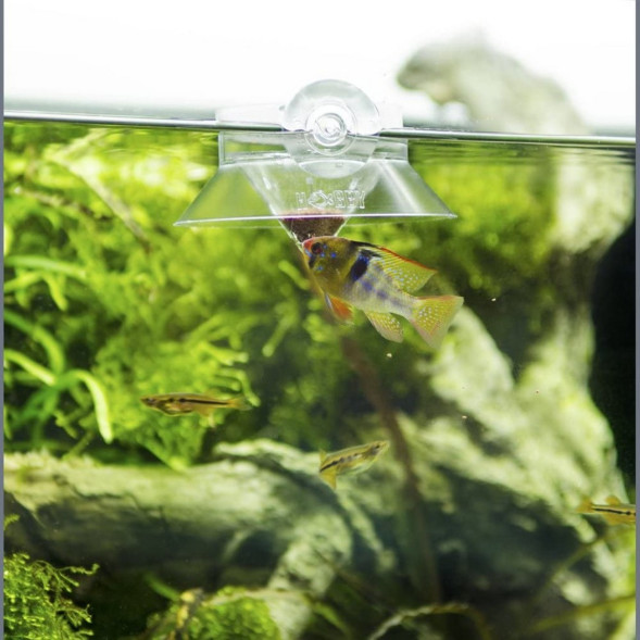 Годівниця для сухого і живого корму Hobby Duplex (61300)