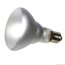 Лампа точкового нагріву Repti-Zoo Beam Spot 150W (BS95150)