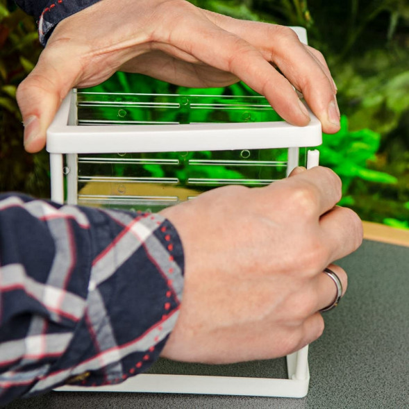 Відсадник для риб Hobby Nido 3.1 16x16x14см (61383)