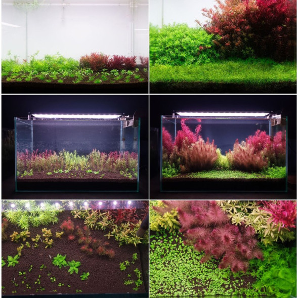 Грунт активний для акваріуму Neo Soil Plant No CO2 8л. - без потреби у CO₂