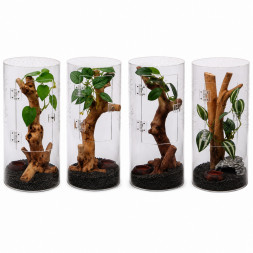 Тераріум для комах та павуків Hobby Terra Fix &amp;amp; Easy Insect Line 15×15×30 см акриловий 360° (36028)