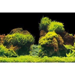 Аквариумный задний фон Aqua Nova Скалы/Растения 60x30см (ROCK/PLANTS S)
