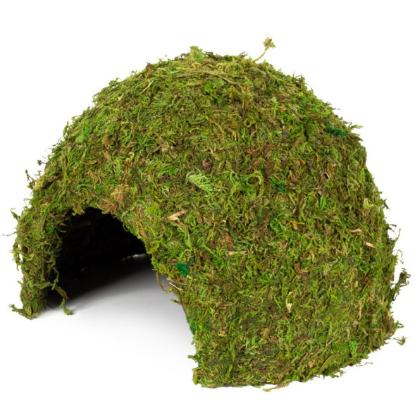 Схованка з моху Repti-Zoo Natural Mossy Dome L 22x17см ERS25L для тераріуму, рептилій і геконів, з живим мохом