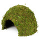 Схованка з моху Repti-Zoo Natural Mossy Dome L 22x17см ERS25L для тераріуму, рептилій і геконів, з живим мохом