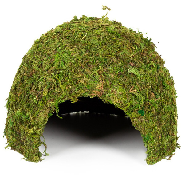 Схованка з моху Repti-Zoo Natural Mossy Dome L 22x17см ERS25L для тераріуму, рептилій і геконів, з живим мохом