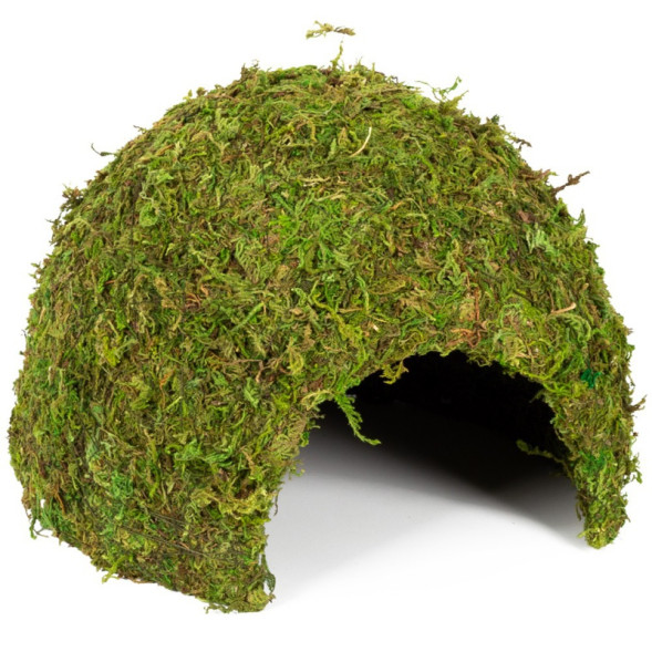 Схованка з моху Repti-Zoo Natural Mossy Dome L 22x17см ERS25L для тераріуму, рептилій і геконів, з живим мохом