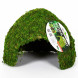 Схованка з моху Repti-Zoo Natural Mossy Dome L 22x17см ERS25L для тераріуму, рептилій і геконів, з живим мохом