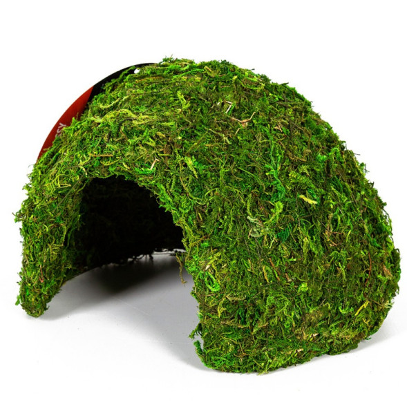 Схованка з моху Repti-Zoo Natural Mossy Dome M 14x10,5см ERS25M для тераріуму, рептилій і геконів, з живим мохом