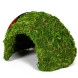 Схованка з моху Repti-Zoo Natural Mossy Dome M 14x10,5см ERS25M для тераріуму, рептилій і геконів, з живим мохом