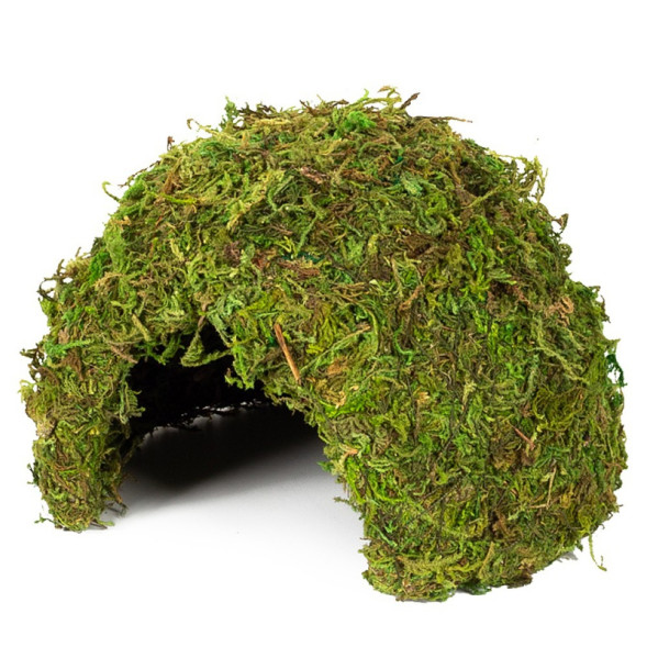 Схованка з моху Repti-Zoo Natural Mossy Dome M 14x10,5см ERS25M для тераріуму, рептилій і геконів, з живим мохом
