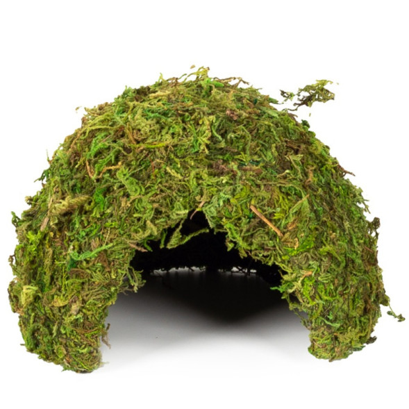 Схованка з моху Repti-Zoo Natural Mossy Dome M 14x10,5см ERS25M для тераріуму, рептилій і геконів, з живим мохом