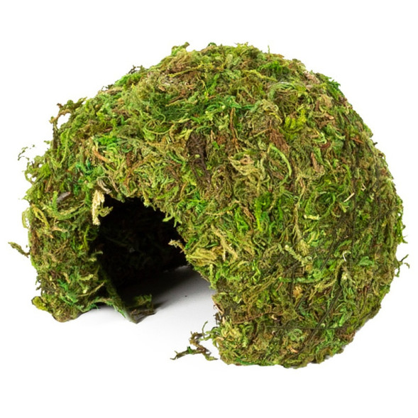 Схованка з моху Repti-Zoo Natural Mossy Dome S 11x10см ERS25S для тераріуму, рептилій і геконів, з живим мохом