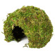 Схованка з моху Repti-Zoo Natural Mossy Dome S 11x10см ERS25S для тераріуму, рептилій і геконів, з живим мохом