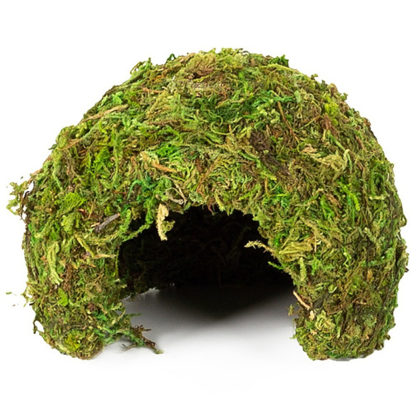 Схованка з моху Repti-Zoo Natural Mossy Dome S 11x10см ERS25S для тераріуму, рептилій і геконів, з живим мохом