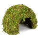 Схованка з моху Repti-Zoo Natural Mossy Dome S 11x10см ERS25S для тераріуму, рептилій і геконів, з живим мохом
