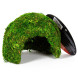 Схованка з моху Repti-Zoo Natural Mossy Dome S 11x10см ERS25S для тераріуму, рептилій і геконів, з живим мохом