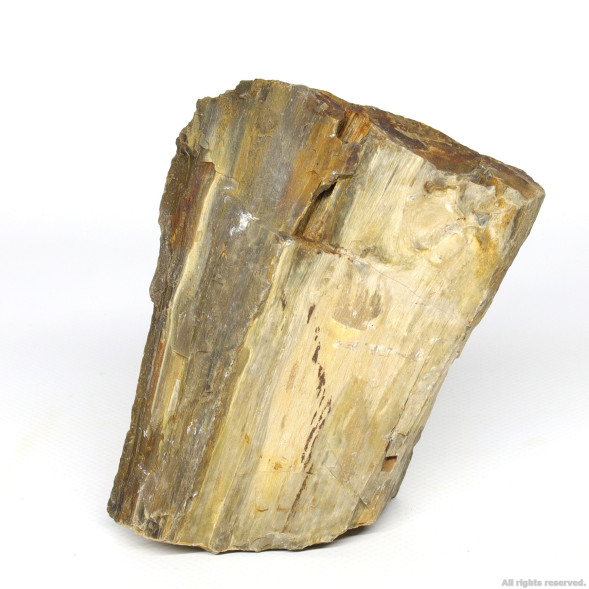 Декоративний природній камінь Hobby Petrified Wood S 0.3-1.0кг (40686)