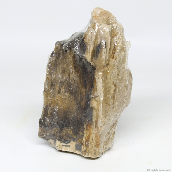 Декоративний природній камінь Hobby Petrified Wood S 0.3-1.0кг (40686)