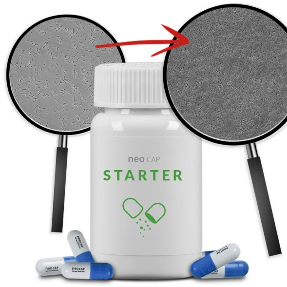 Бактерії в капсулах для акваріуму Aquario Neo Cap Starter 20шт.