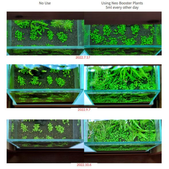 Добриво Neo Booster Plants FERTI 300 мл для акваріумних рослин без CO₂ з амінокислотами