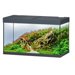 Акваріум Eheim vivaline LED 144 anthracite 80×40×45 см з LED, фільтром і нагрівачем, без тумби (0613109)