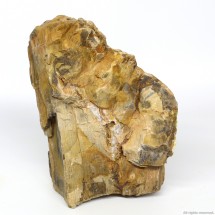 Декоративний природній камінь Hobby Petrified Wood M 1-2.2кг (40687)